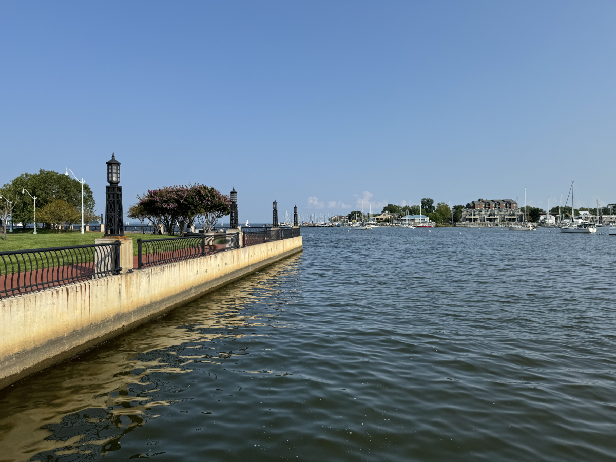 Annapolis Harbor